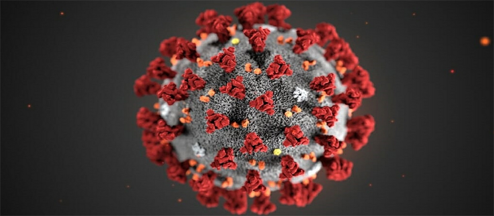 Síntomas del coronavirus: cómo prevenirlo y tablas de síntomas