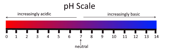 Escala pH: de ácido a básico