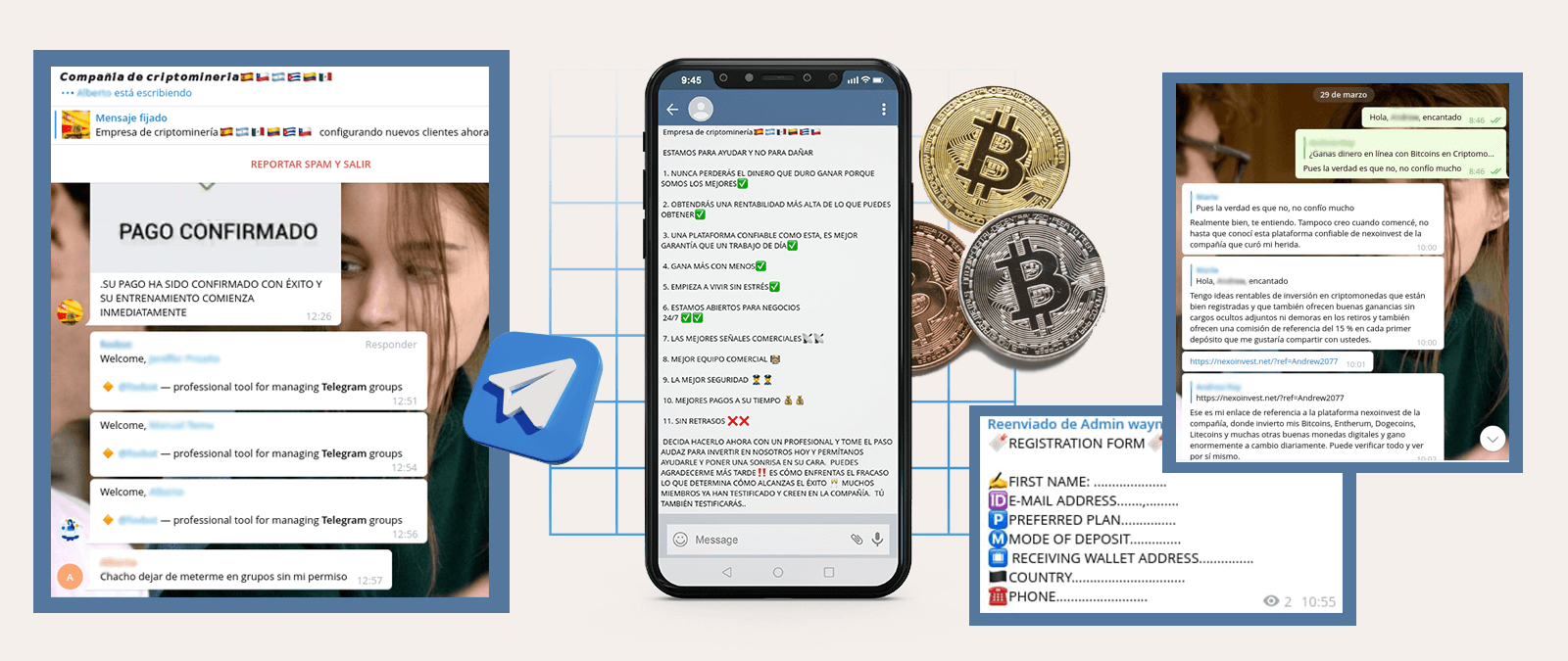 Supuestos grupos de inversión en criptomonedas en Telegram y su modus  operandi: qué hay detrás y por qué tenemos que desconfiar · Maldita.es