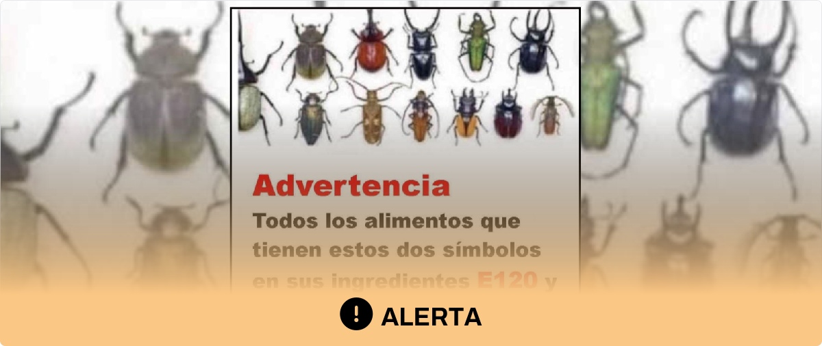 Por qué los aditivos procedentes de insectos (como el E-120 o el E-904) no suponen un riesgo para nuestra salud