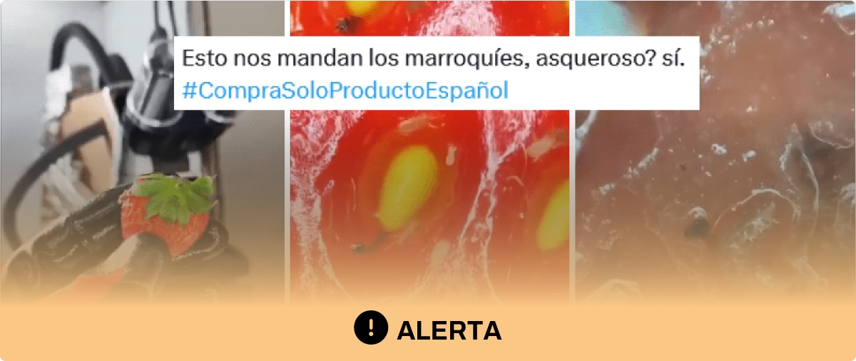 Cuidado con este video de unas fresas con insectos supuestamente procedentes de Marruecos: no da pruebas de su origen y puede ocurrir independientemente de donde vengan
