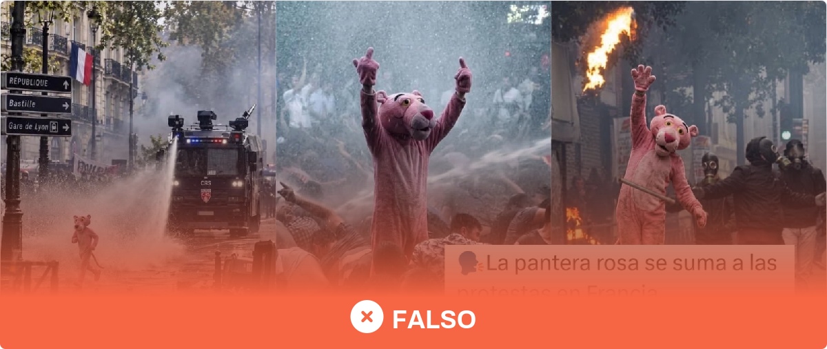 No, estas imágenes de la Pantera Rosa en las protestas de París en ...