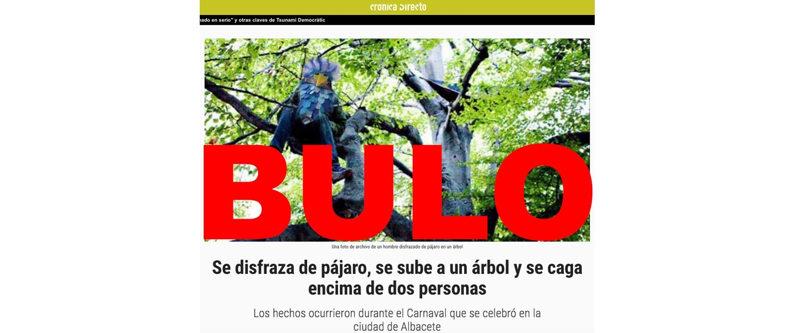Image accompanying Se disfraza de pájaro, se sube a un árbol y se caga encima de dos personas en el Carnaval de Albacete