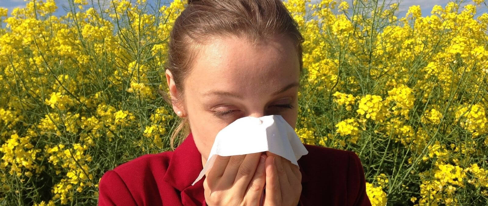 Весенняя аллергия. Как пережить весну. Как люди справляются с аллергией. Маска для аллергиков на пыльцу