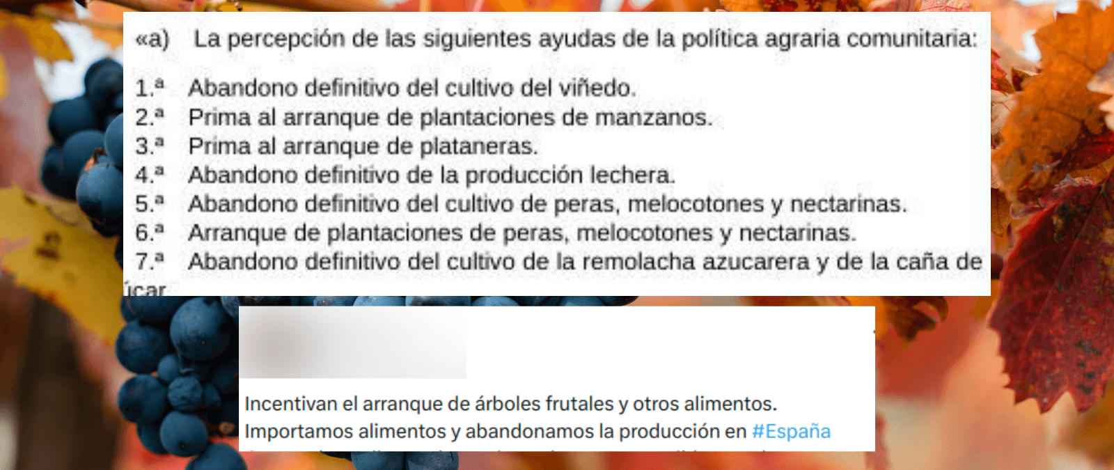 El BOE que recoge exenciones a ayudas de la PAC por abandono de cultivos y arranque de plantaciones: existen desde 2004 y añade nuevos casos