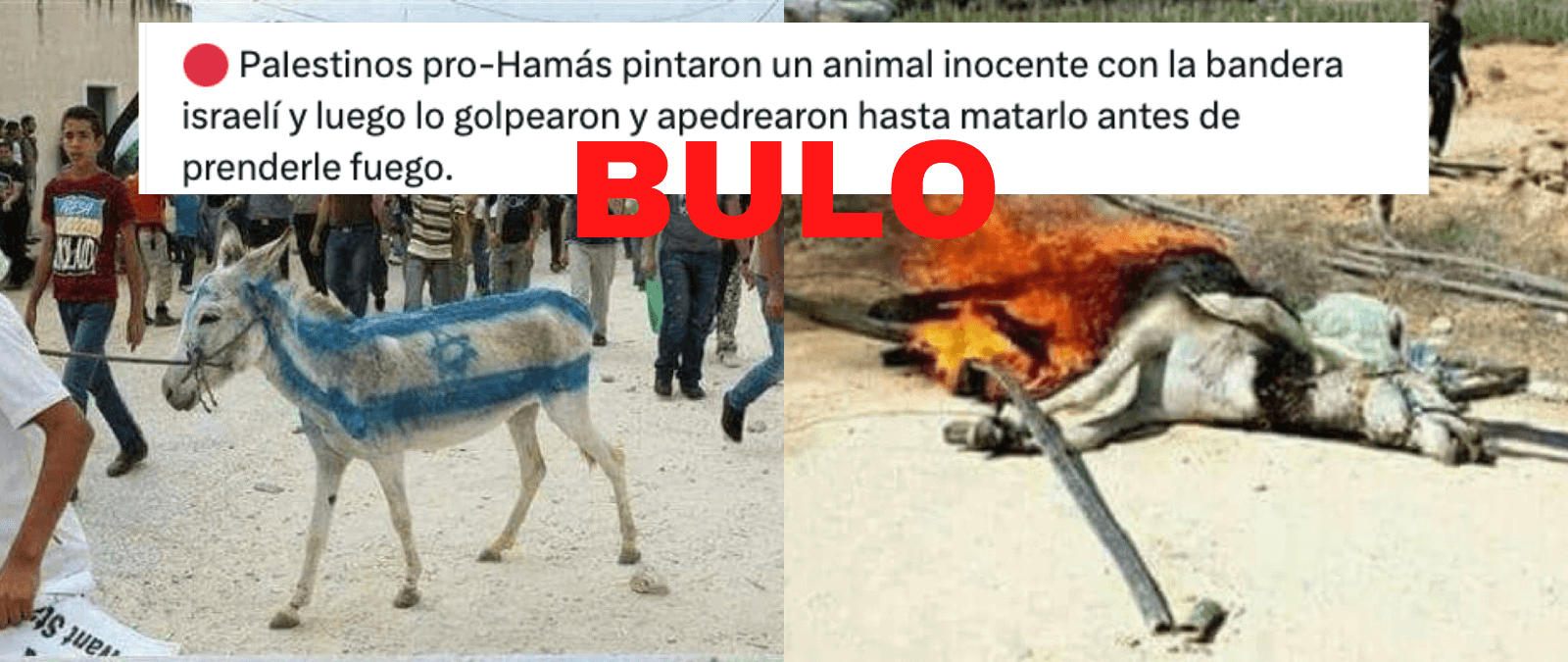 No, estas imágenes no muestran a “palestinos pro-hamás” pintando un burro con la bandera israelí y después quemándolo: son imágenes tomadas en años y lugares diferentes