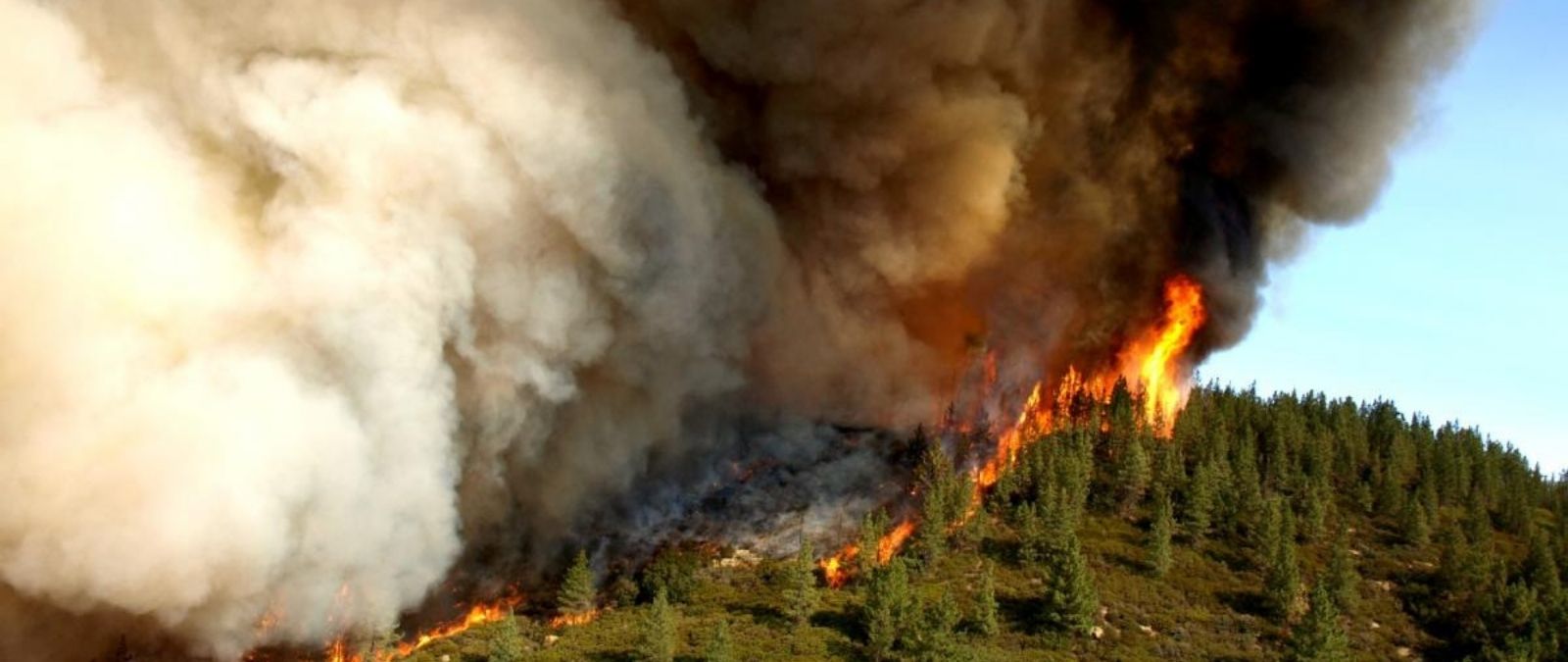 Расширенные пожары. Лесные пожары. Дым от лесных пожаров. Вулкан и пожар Лесной. Последствия лесных пожаров.