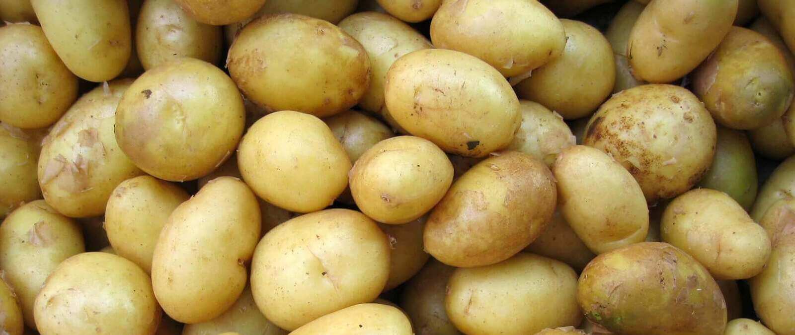 Patatas sin raíces, ¿cómo conseguirlo?